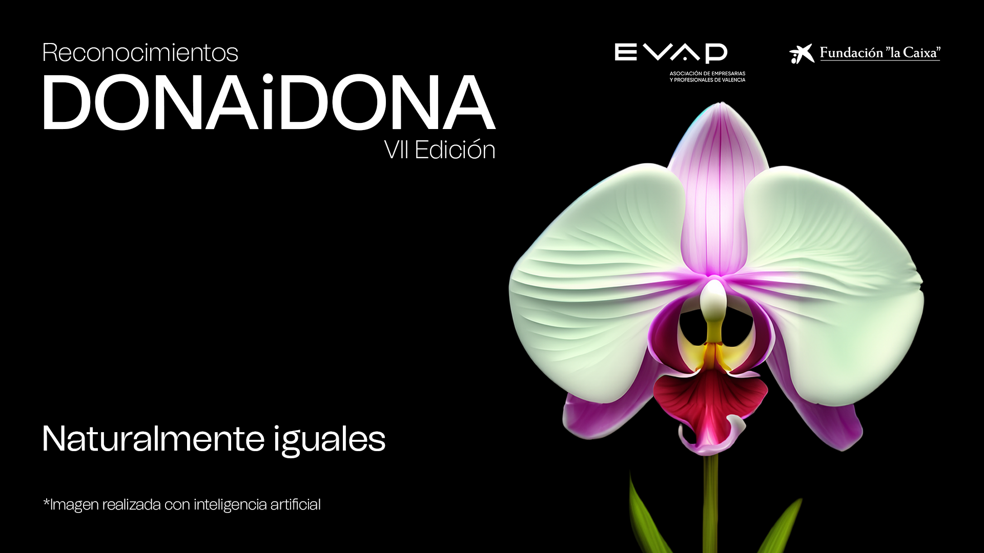 Reconocimientos DONAiDONA